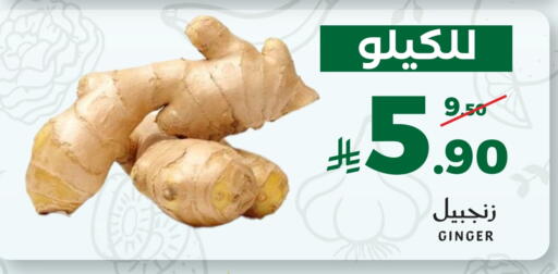 Ginger available at ميرا مارت مول in مملكة العربية السعودية, السعودية, سعودية - جدة