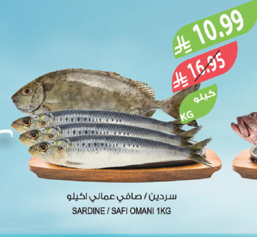 available at المزرعة in مملكة العربية السعودية, السعودية, سعودية - تبوك