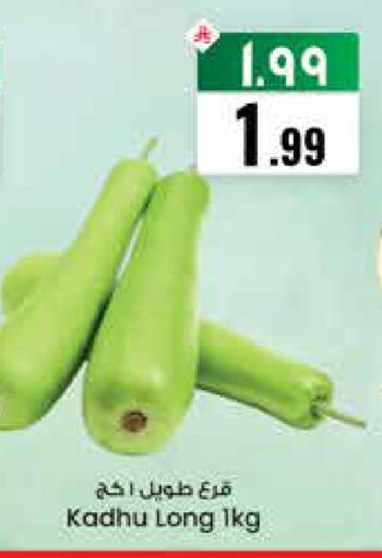 available at City Flower in KSA, Saudi Arabia, Saudi - Riyadh