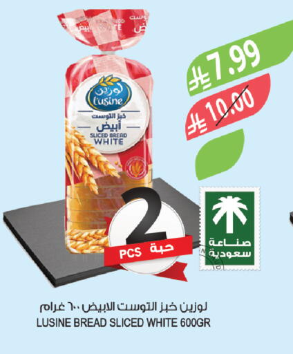 available at المزرعة in مملكة العربية السعودية, السعودية, سعودية - تبوك