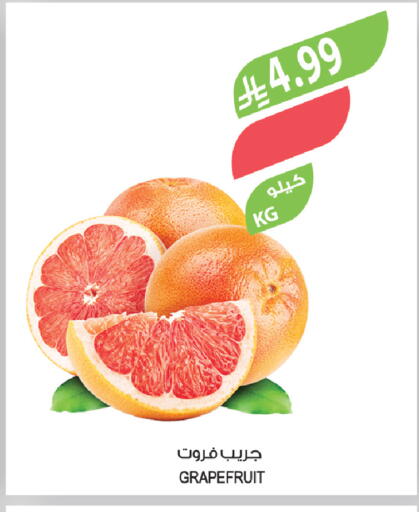 available at المزرعة in مملكة العربية السعودية, السعودية, سعودية - الخفجي