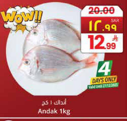available at City Flower in KSA, Saudi Arabia, Saudi - Jubail