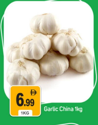 Garlic from China available at سوق طلال in الإمارات العربية المتحدة , الامارات - دبي