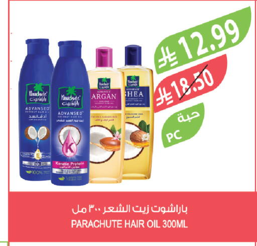 Coconut available at Farm  in KSA, Saudi Arabia, Saudi - Tabuk