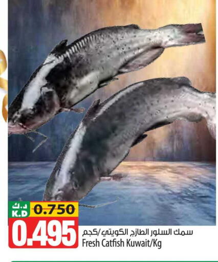 Mango available at مانجو هايبرماركت in الكويت - محافظة الأحمدي