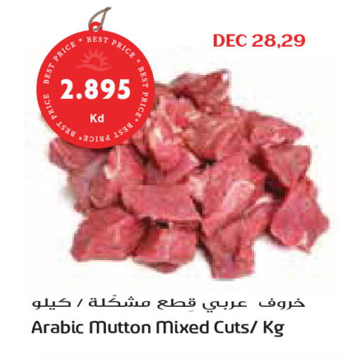 available at Grand Costo in Kuwait - Ahmadi Governorate