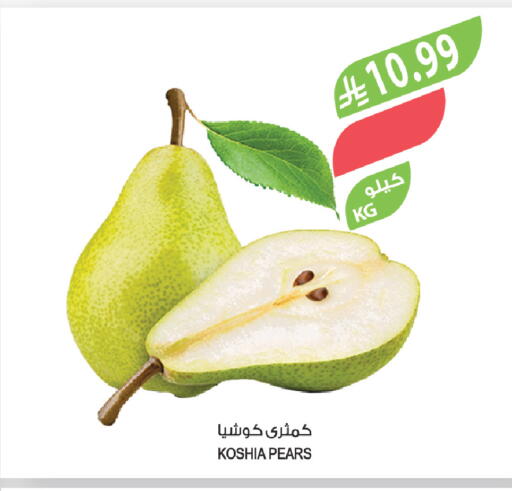 available at Farm  in KSA, Saudi Arabia, Saudi - Tabuk