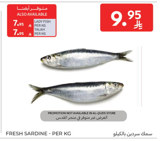 available at كارفور in مملكة العربية السعودية, السعودية, سعودية - بريدة
