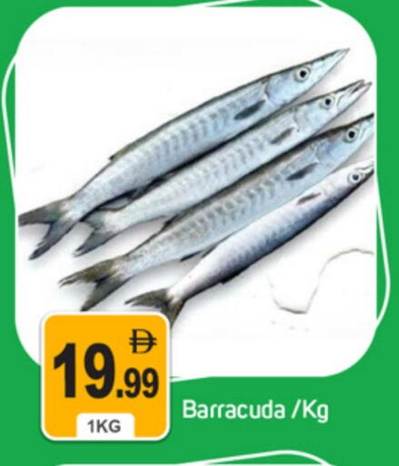 available at سوق طلال in الإمارات العربية المتحدة , الامارات - دبي