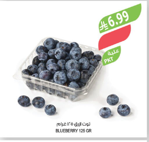 Blueberry BlueBerry available at Farm  in KSA, Saudi Arabia, Saudi - Abha