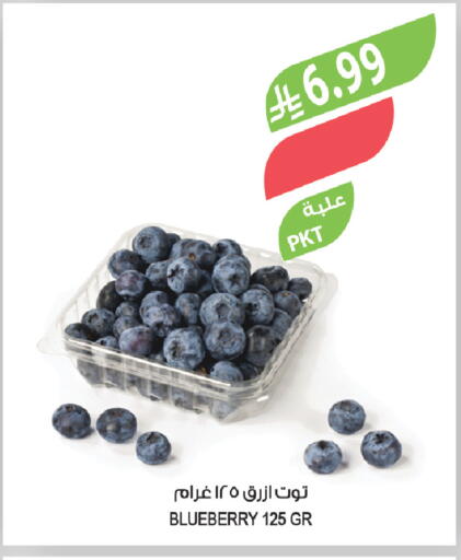 Blueberry BlueBerry available at Farm  in KSA, Saudi Arabia, Saudi - Al Khobar