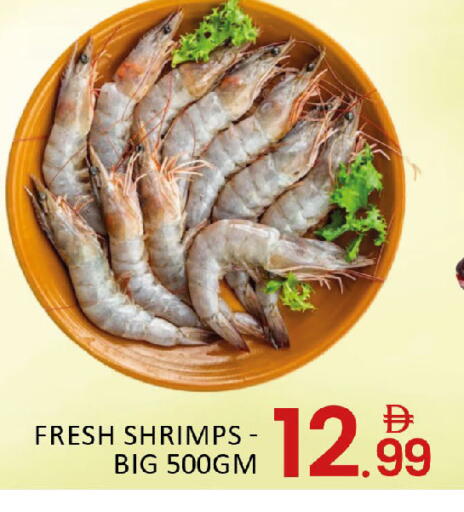 Mango available at مانجو هايبرماركت in الإمارات العربية المتحدة , الامارات - دبي