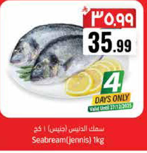 available at ستي فلاور in مملكة العربية السعودية, السعودية, سعودية - نجران