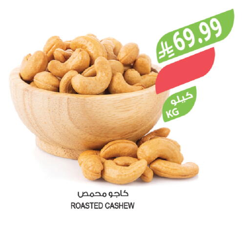 available at Farm  in KSA, Saudi Arabia, Saudi - Tabuk