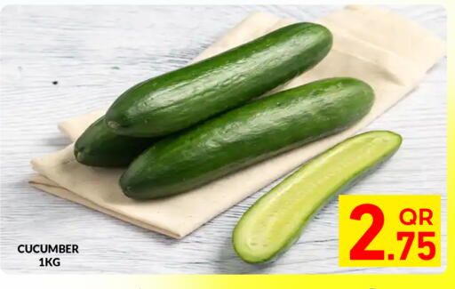 Cucumber available at مجلس هايبرماركت in قطر - الدوحة