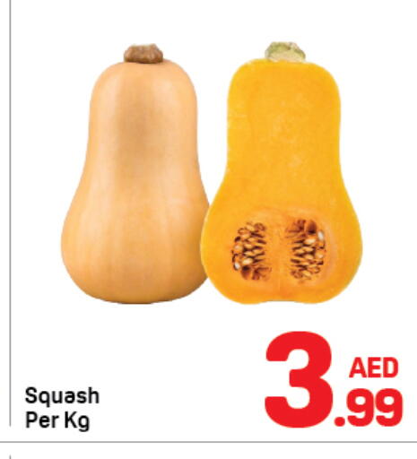 Squash available at دي تو دي in الإمارات العربية المتحدة , الامارات - دبي
