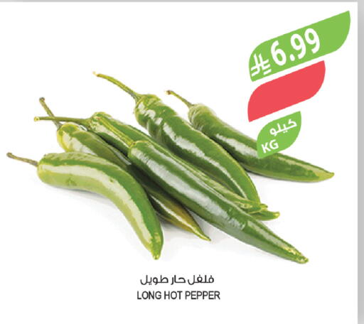 Pepper available at المزرعة in مملكة العربية السعودية, السعودية, سعودية - أبها