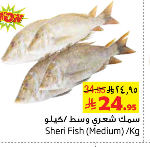 available at Layan Hyper in KSA, Saudi Arabia, Saudi - Al Khobar