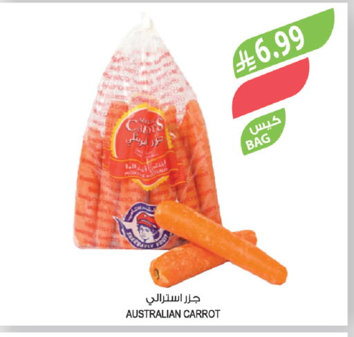 Carrot available at Farm  in KSA, Saudi Arabia, Saudi - Najran