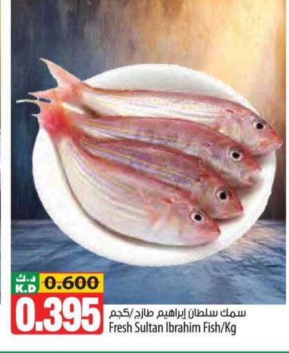 Mango available at مانجو هايبرماركت in الكويت - محافظة الجهراء