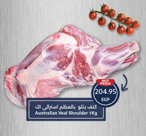 available at  أوسكار جراند ستورز  in Egypt - القاهرة