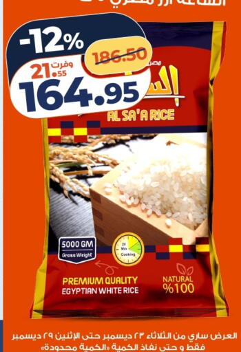 available at كازيون in Egypt - القاهرة