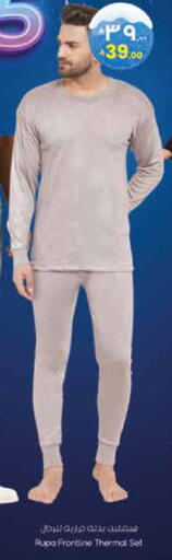 available at City Flower in KSA, Saudi Arabia, Saudi - Jubail