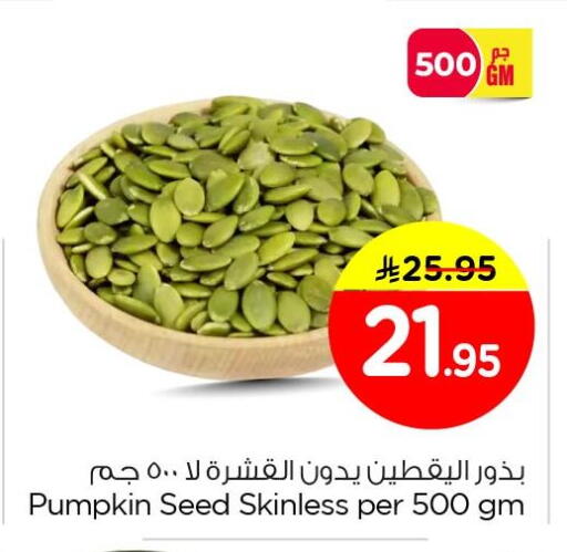 Pumpkin available at نستو in مملكة العربية السعودية, السعودية, سعودية - الجبيل‎