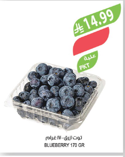 Blueberry BlueBerry available at Farm  in KSA, Saudi Arabia, Saudi - Al Khobar