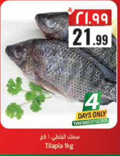 available at City Flower in KSA, Saudi Arabia, Saudi - Hail