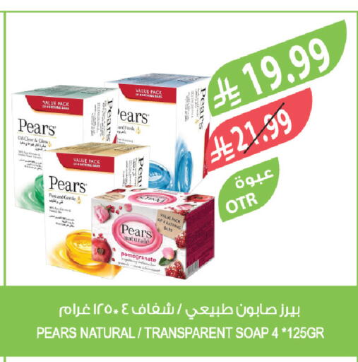 Pomegranate available at Farm  in KSA, Saudi Arabia, Saudi - Najran