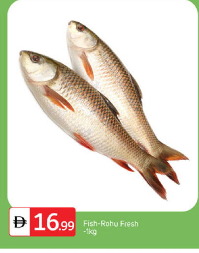 available at TALAL MARKET in UAE - Abu Dhabi