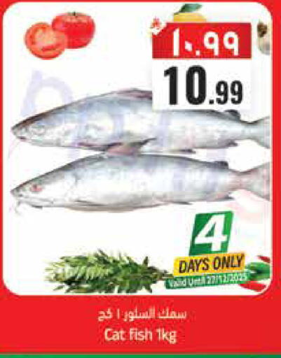 available at City Flower in KSA, Saudi Arabia, Saudi - Hail