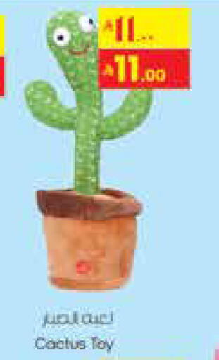 available at City Flower in KSA, Saudi Arabia, Saudi - Hail