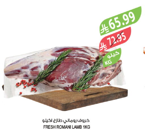 available at Farm  in KSA, Saudi Arabia, Saudi - Jeddah