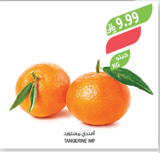 available at Farm  in KSA, Saudi Arabia, Saudi - Tabuk