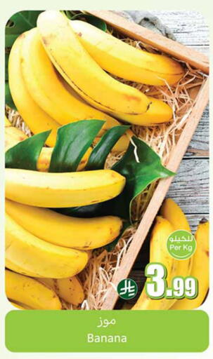 Banana available at أسواق عبد الله العثيم in مملكة العربية السعودية, السعودية, سعودية - محايل