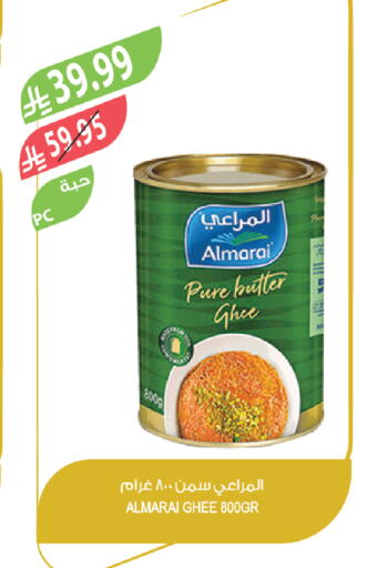 available at المزرعة in مملكة العربية السعودية, السعودية, سعودية - تبوك