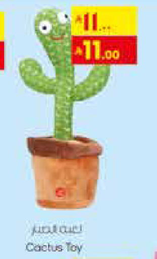 available at City Flower in KSA, Saudi Arabia, Saudi - Sakaka