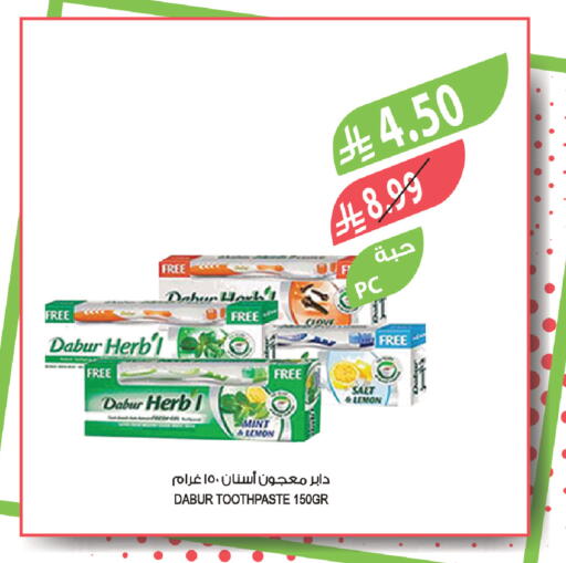 Lemon Mint available at Farm  in KSA, Saudi Arabia, Saudi - Saihat