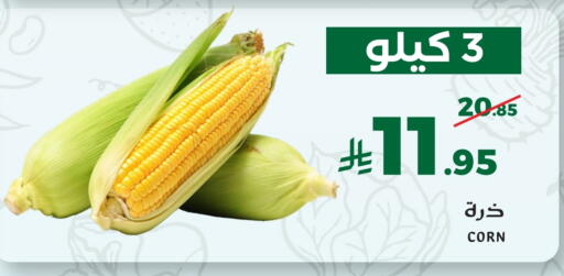 available at ميرا مارت مول in مملكة العربية السعودية, السعودية, سعودية - جدة