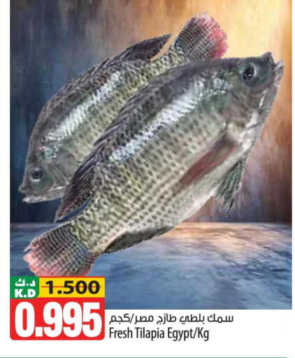 Mango available at مانجو هايبرماركت in الكويت - محافظة الجهراء