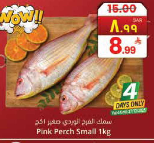 available at City Flower in KSA, Saudi Arabia, Saudi - Hail