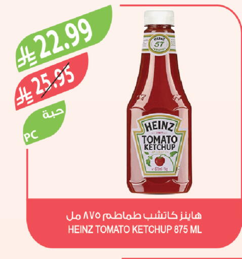 Tomato available at Farm  in KSA, Saudi Arabia, Saudi - Yanbu