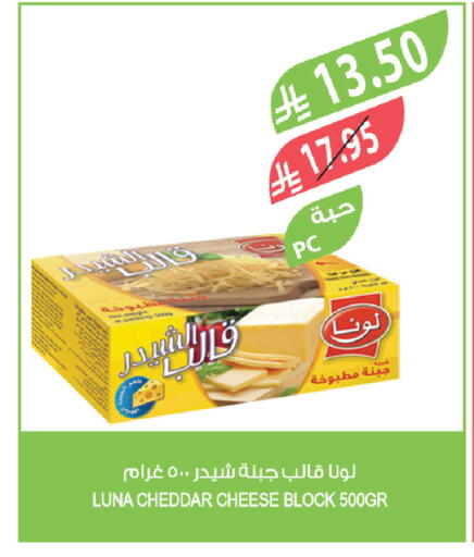 available at المزرعة in مملكة العربية السعودية, السعودية, سعودية - الباحة