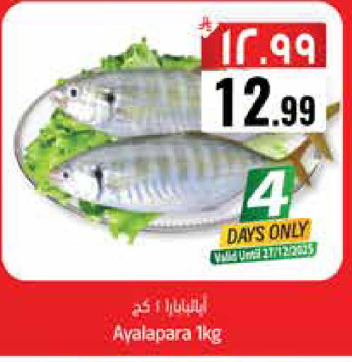 available at ستي فلاور in مملكة العربية السعودية, السعودية, سعودية - الجبيل‎