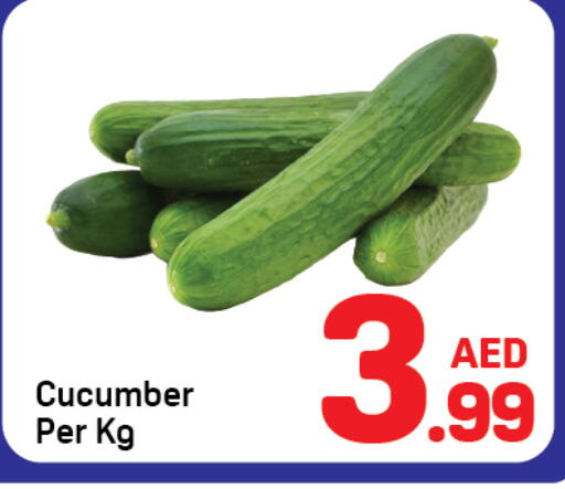 Cucumber available at دي تو دي in الإمارات العربية المتحدة , الامارات - دبي