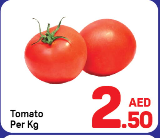 Tomato available at دي تو دي in الإمارات العربية المتحدة , الامارات - دبي