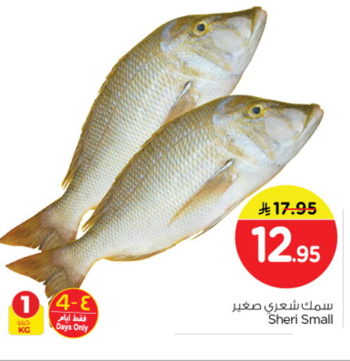 available at نستو in مملكة العربية السعودية, السعودية, سعودية - الرياض