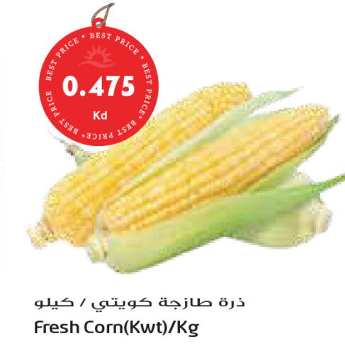 available at Grand Costo in Kuwait - Kuwait City